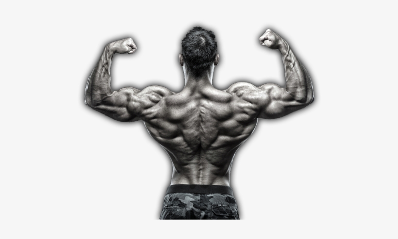 Get A Stronger, Leaner, - Best Exercise For Traps Muscles, transparent png download