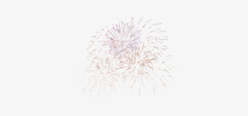 Download - Fireworks, transparent png download
