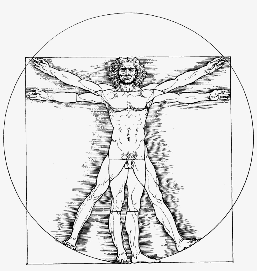 Vitruvianischer Mann - Symmetry In Human Body, transparent png download