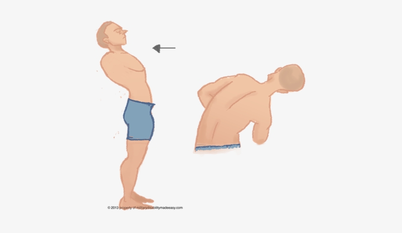 Torso Muscles 3 - Cartoon, transparent png download