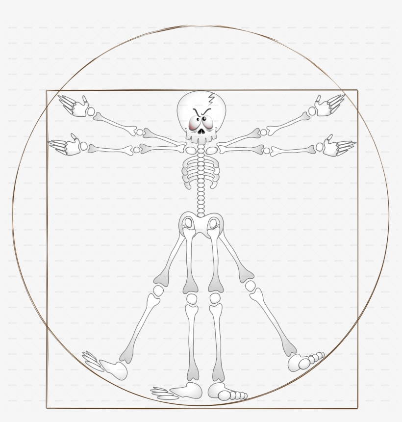 Scheletro Vitruviano - Sketch, transparent png download
