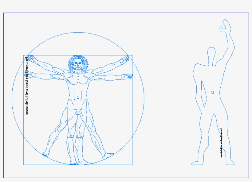 Hombre De Vitruvio Vitruviano Leonardo Da Vinci Modulor - Drawing, transparent png download