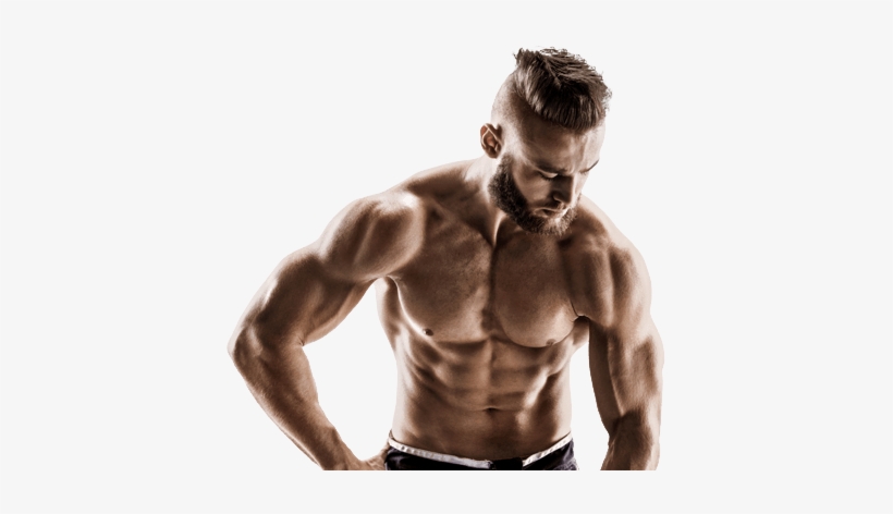 Muscle Activation Techniques - Photography, transparent png download