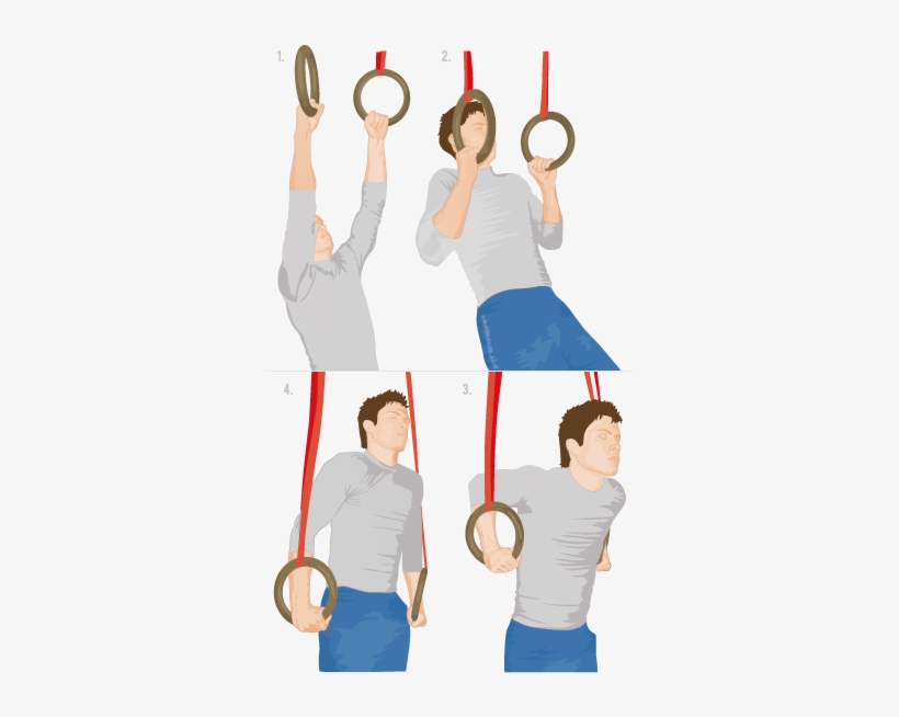 gymnastic ring workout for beginners > OFF62