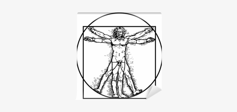 Vitruvian Man, transparent png download