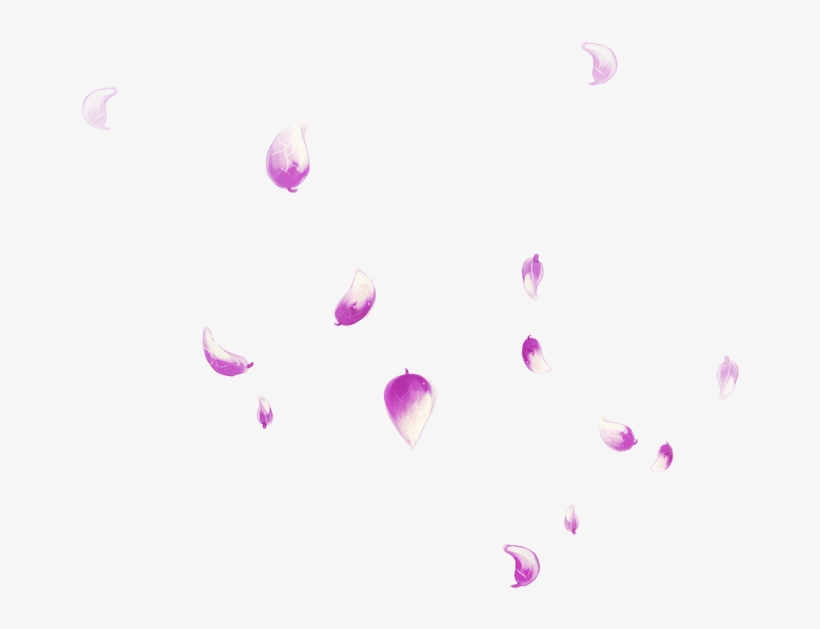 Petal Falling Transprent Png Free Download Pink - Portable Network Graphics, transparent png download