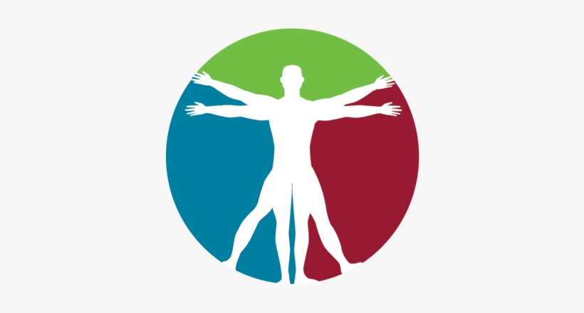 Man - Vitruvian Man Logo Png, transparent png download