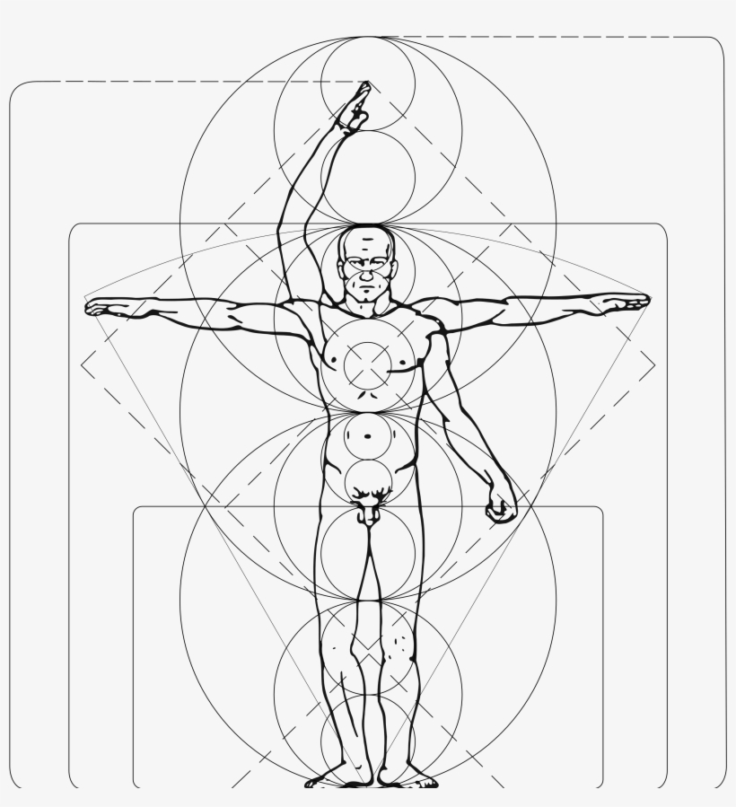Post - Human Body Reference Image Vitruvian, transparent png download