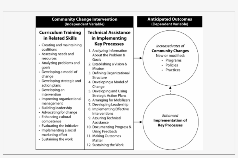 Framework Of The Community Change Intervention - Science, transparent png download