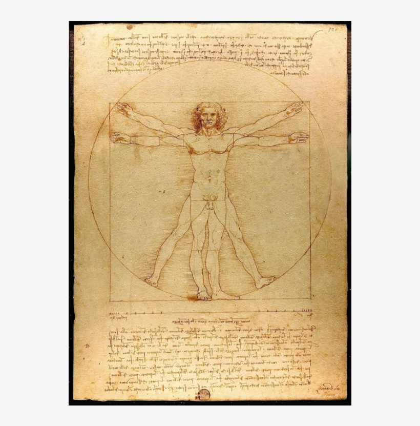 Vitruvian Man Fat, transparent png download