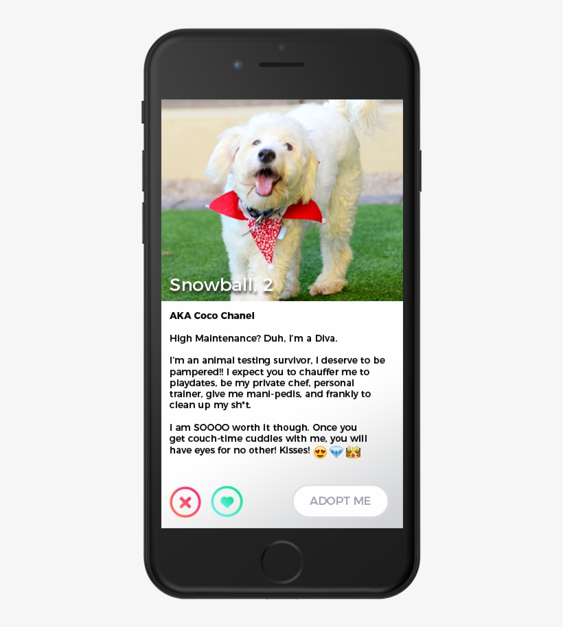 Snowball - Martha May Whovier, transparent png download