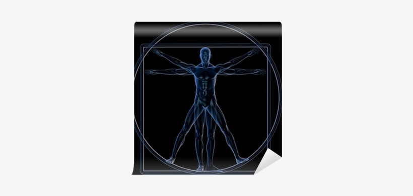 Da Vinci Art Science, transparent png download