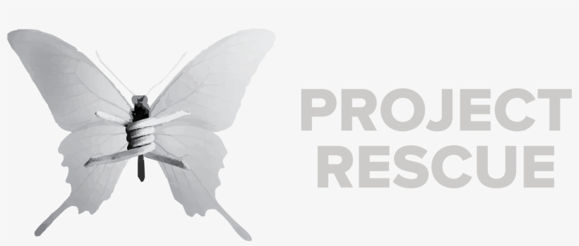 Intervention - Project Rescue, transparent png download