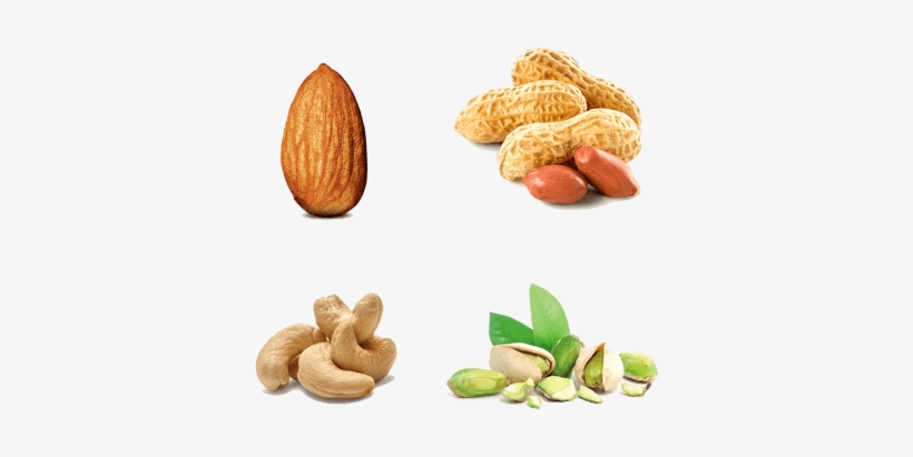 Peanut Transparent Background, transparent png download