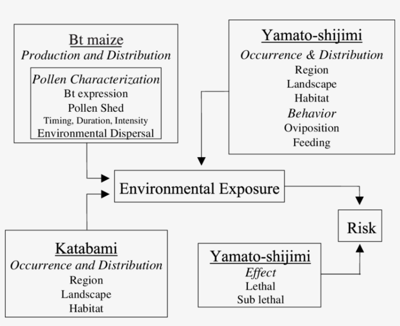Conceptual Model For Characterization Of Risk Of Cry1f - Document, transparent png download