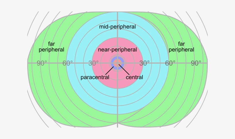 So, Again, If We Are Talking About A Shape That Most - Human Field Of View Shape, transparent png download