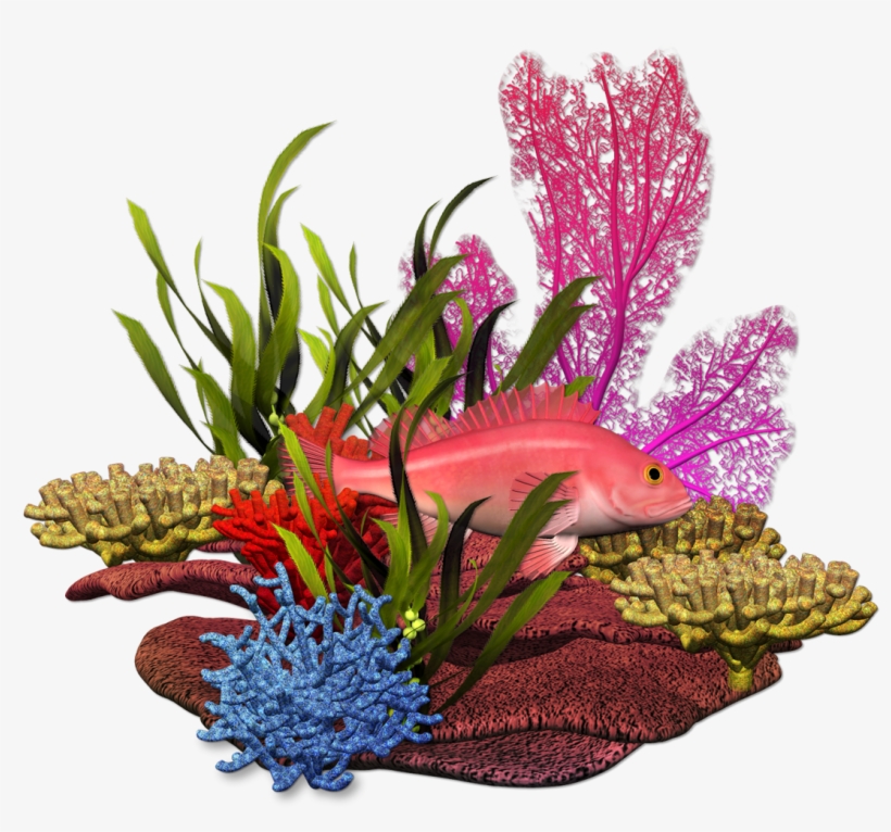 Fundo Do Mar Marine Plants, Marimo, Under The Sea, - Embroidery, transparent png download