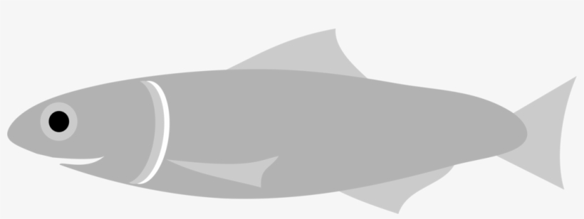 Fish European Anchovy Food Japanese Anchovy, transparent png download
