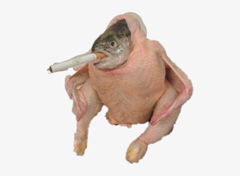 Blind Skateboards Blind Cody Mcentire Meme Skateboard, transparent png download