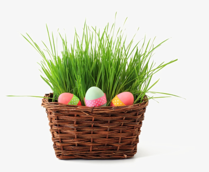 Easter Basket Png Image Background - Easter French Bulldogs Card, transparent png download
