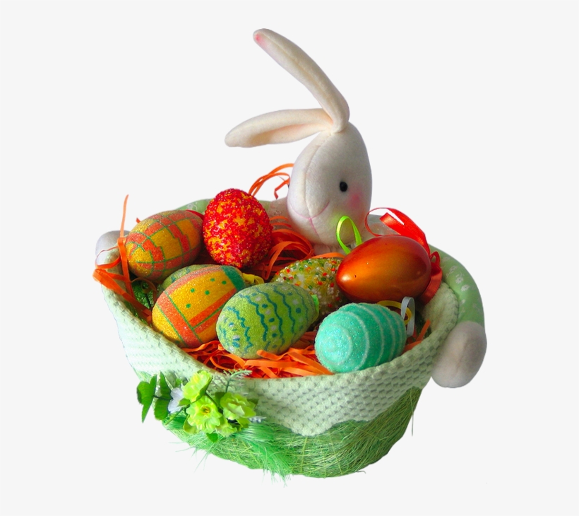 Domestic Rabbit, transparent png download