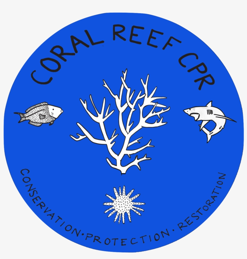 Coral Reef Cpr - Coral Reef, transparent png download