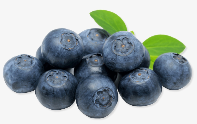 Blueberry In France, transparent png download