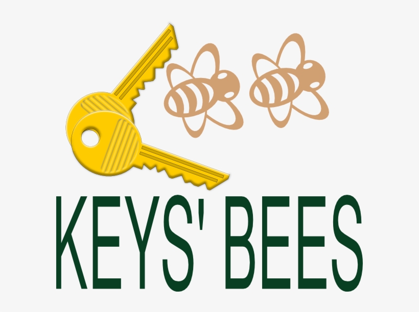 How To Set Use Keys Bees Icon Png, transparent png download