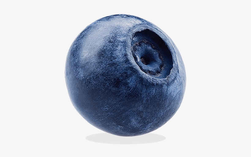 Are You Looking For A Comprehensive Manufacturer For - Berry, transparent png download