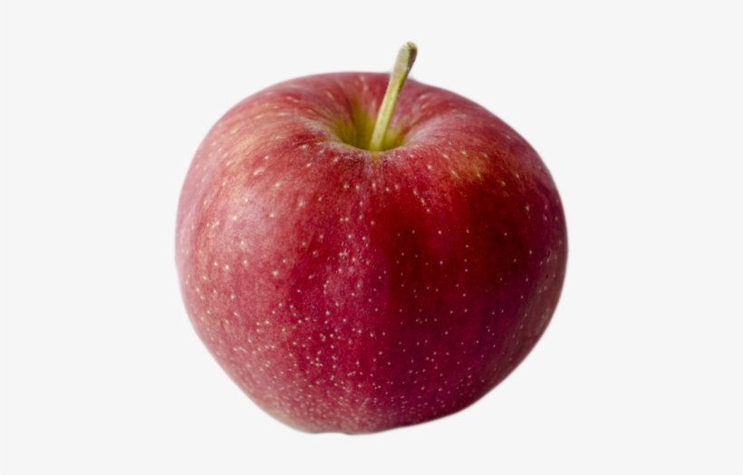 Mollie's Delicious, transparent png download