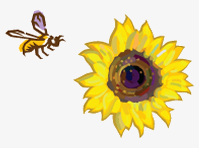 Great Sunflower Project, transparent png download