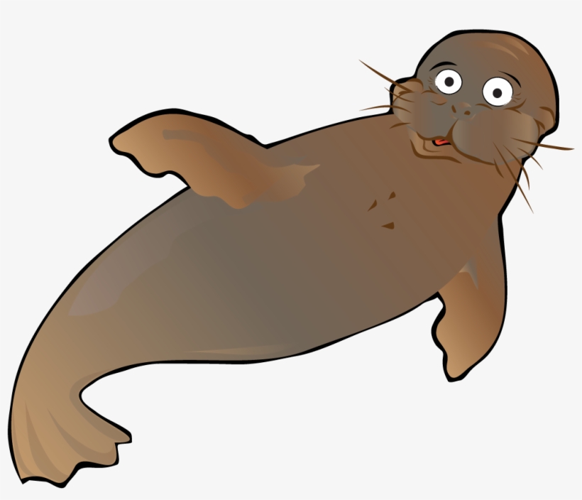 Swimmers In This Level Should Have Basic Knowledge - Animales Marinos Png, transparent png download