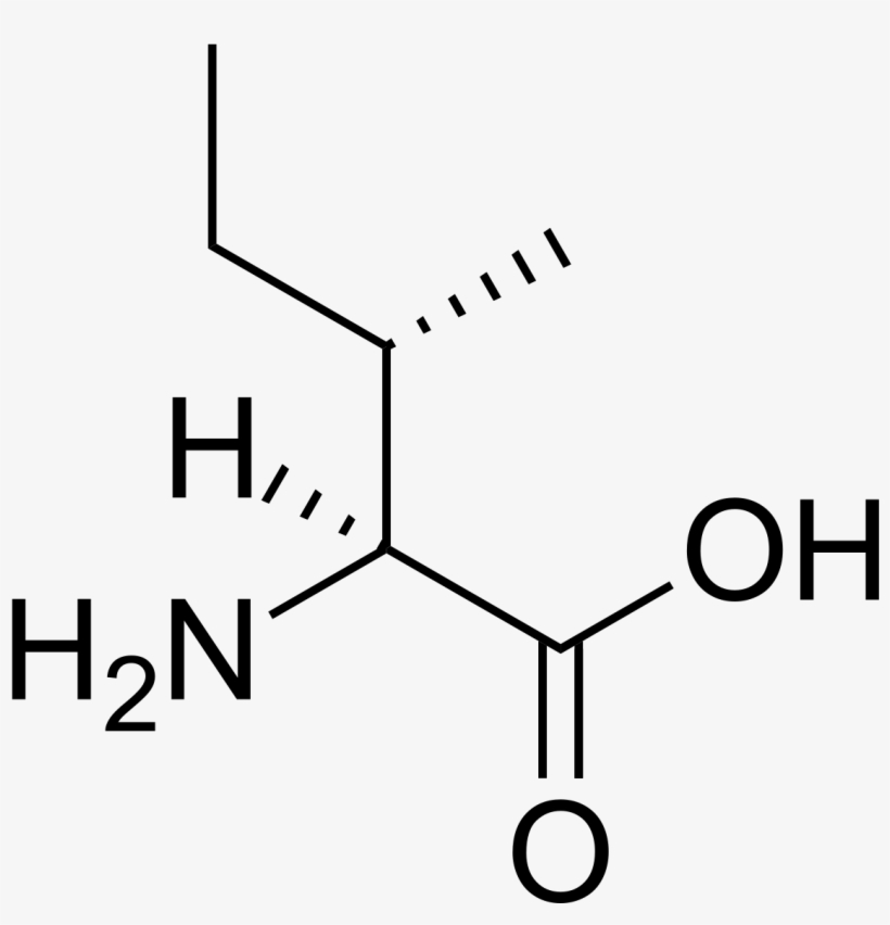 L Isoleucine, transparent png download