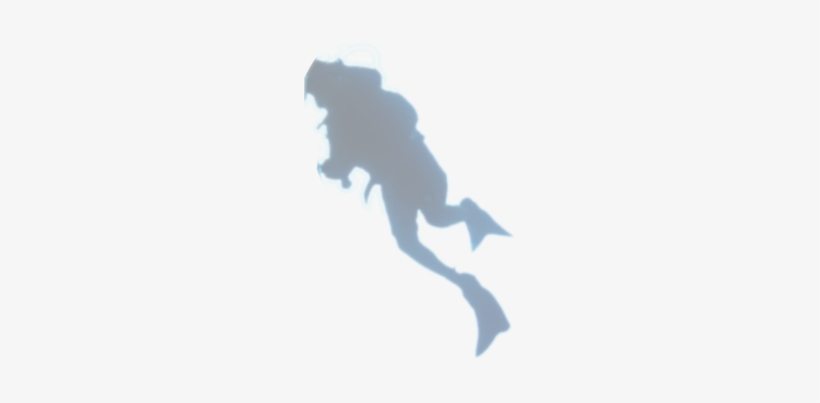 Museum Biologists Discover A Glowing Menagerie Underwater - Parallax, transparent png download