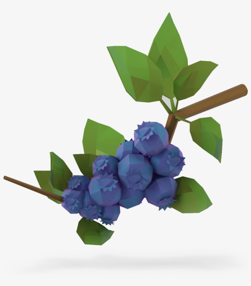 Lowbush Blueberries - Blueberry Plants Transparent, transparent png download
