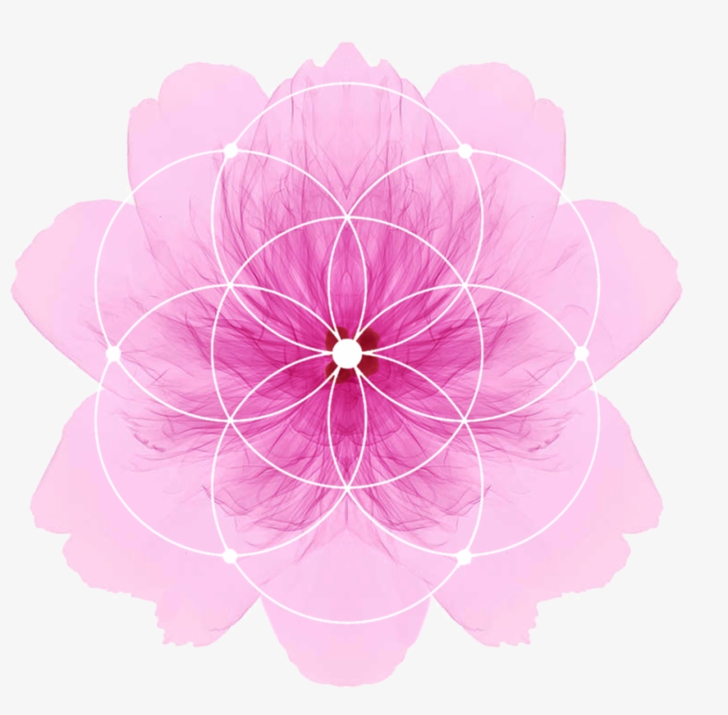Satnamrasayanmandalas - Sādhanā, transparent png download
