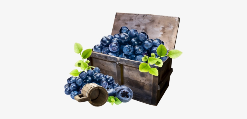 Blueberries - Черника Картинки Для Декупажа, transparent png download