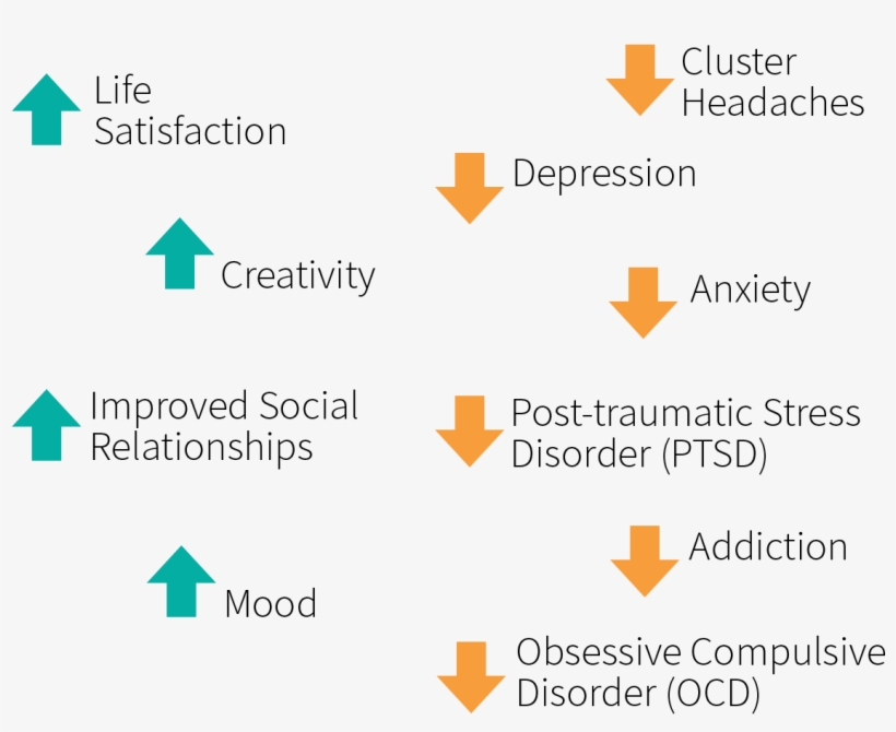 Medical Benefits Of Psychedelic Drugs Related To Mood, - Parallel, transparent png download