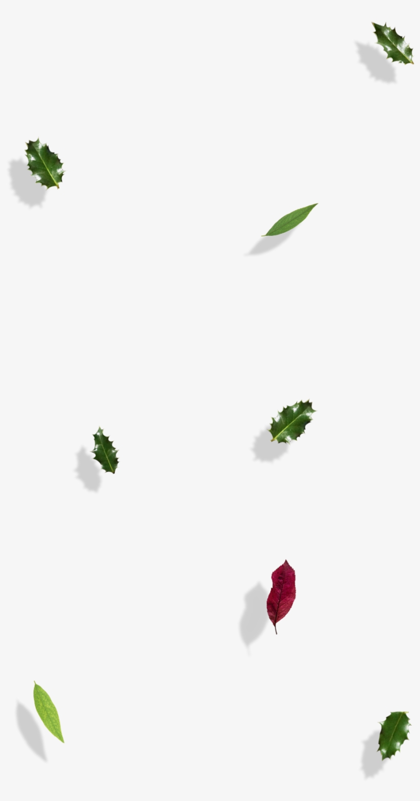 Illustration, transparent png download