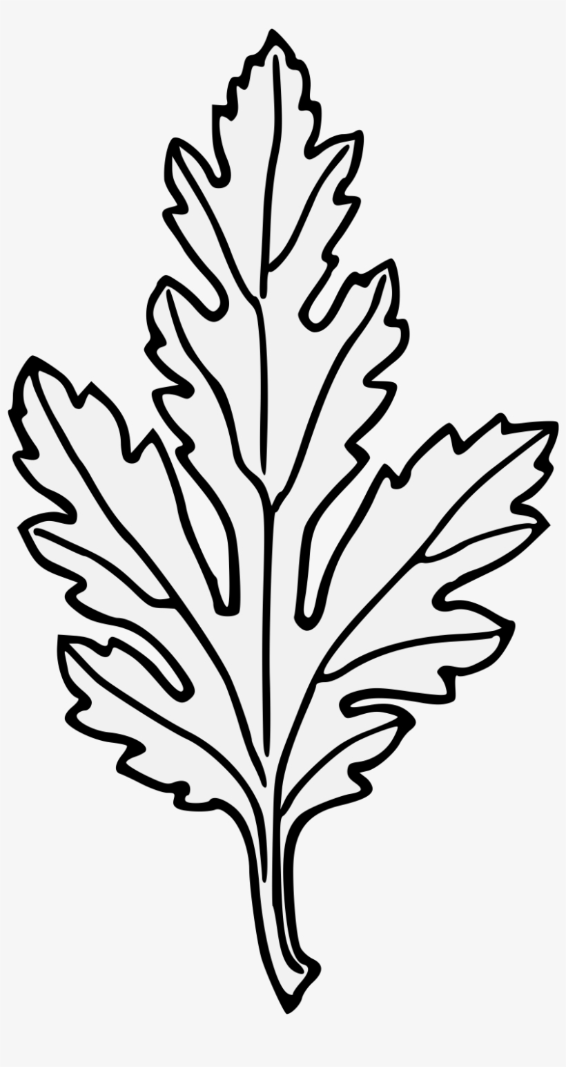 Chrysanthemum Leaf - Embroidery, transparent png download