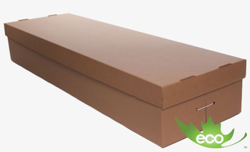 Cardboard Body Container - Tray, transparent png download