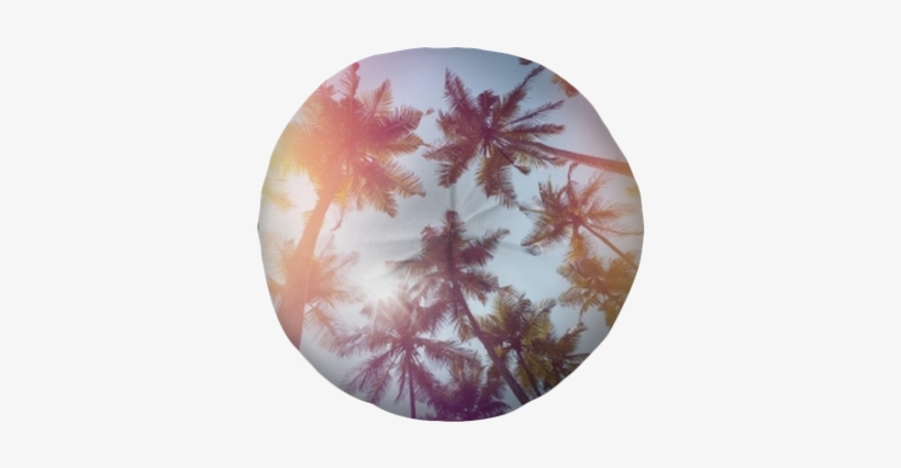Palms Trees On A Beach Vintage Stylized With Film Light - Film, transparent png download