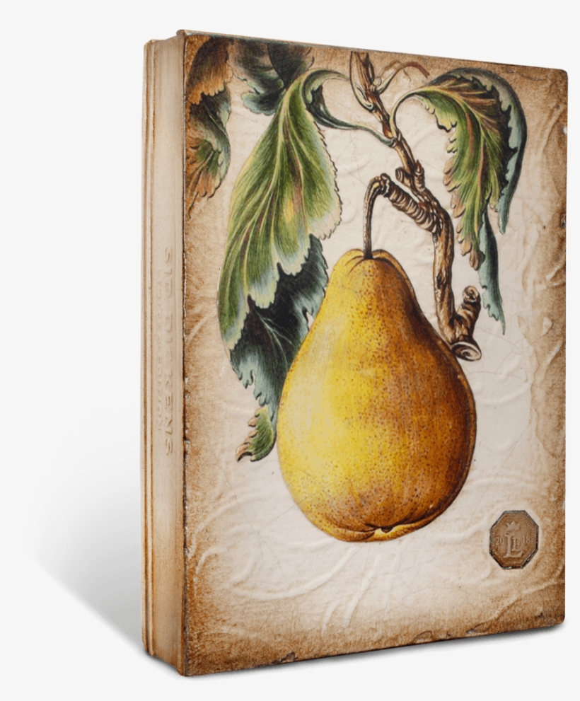 Pear Limited, transparent png download