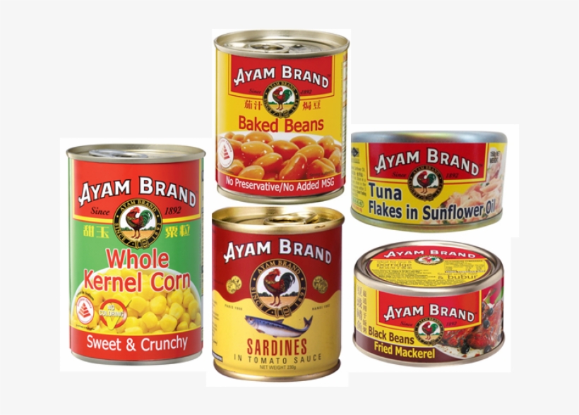 Donation Box Set 3b - Ayam Brand Premium Coconut Milk, transparent png download