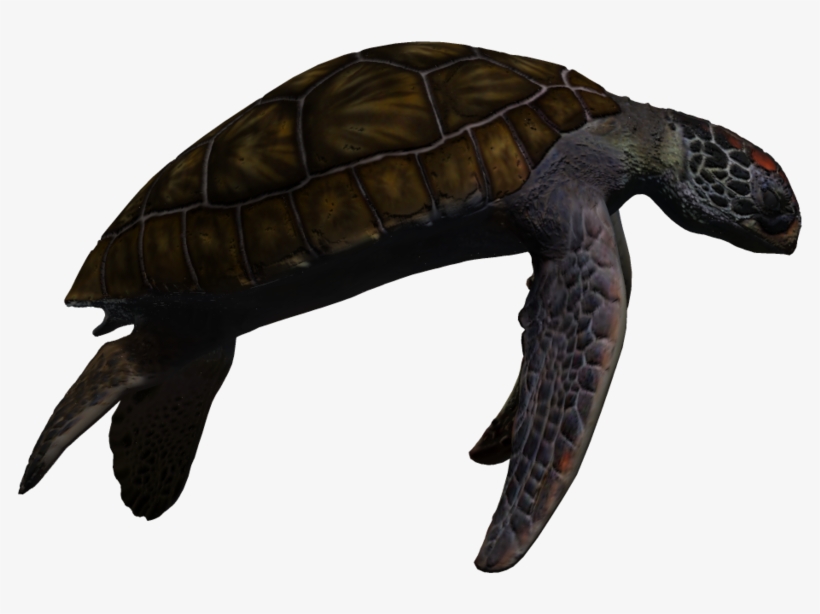 Download Turtle Png Transparent Images Transparent - Sea Turtle Png Deviantart, transparent png download