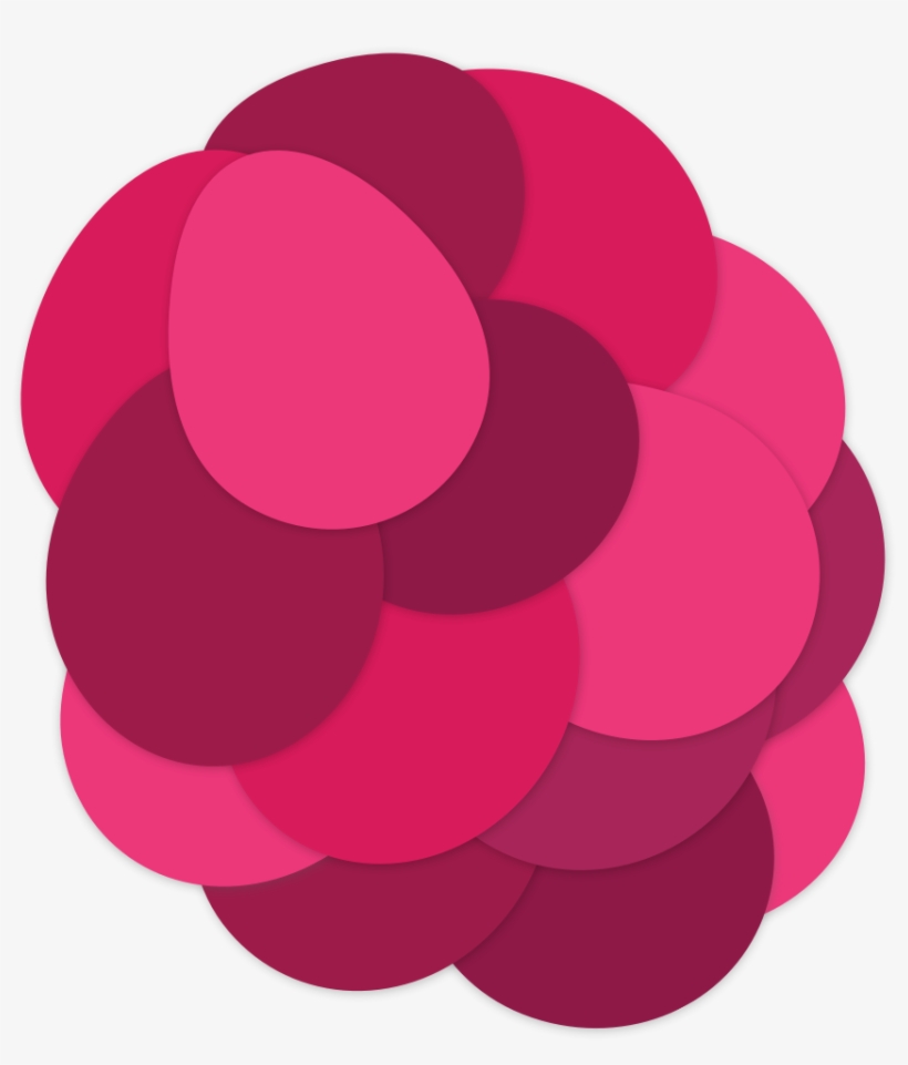 Bright Vines Grape The Fruity Fresh Grape - Grape, transparent png download