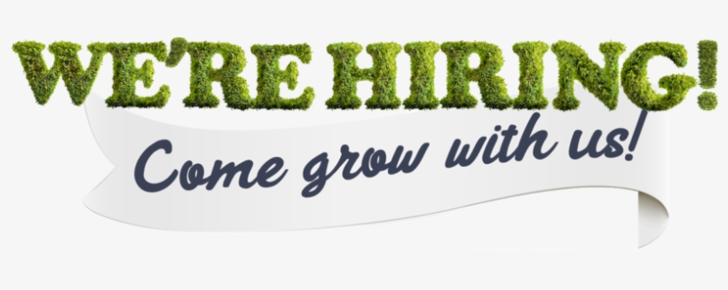 Careerbanner2 - Portable Network Graphics, transparent png download