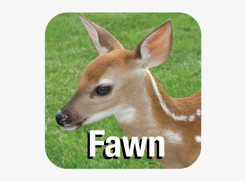 27 Jan 2015 - T-shirt, transparent png download