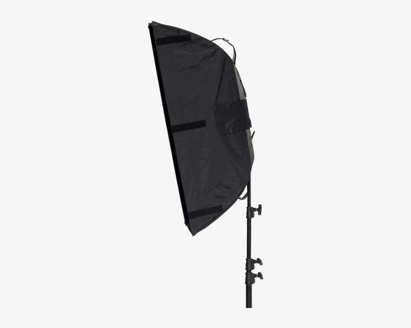 Chimera Video Pro Plus Shallow M With 3 Screens - Umbrella, transparent png download