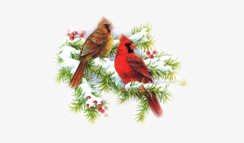 Christmas Cardinals Clip Art - Clip Art Cardinals At Christmas, transparent png download